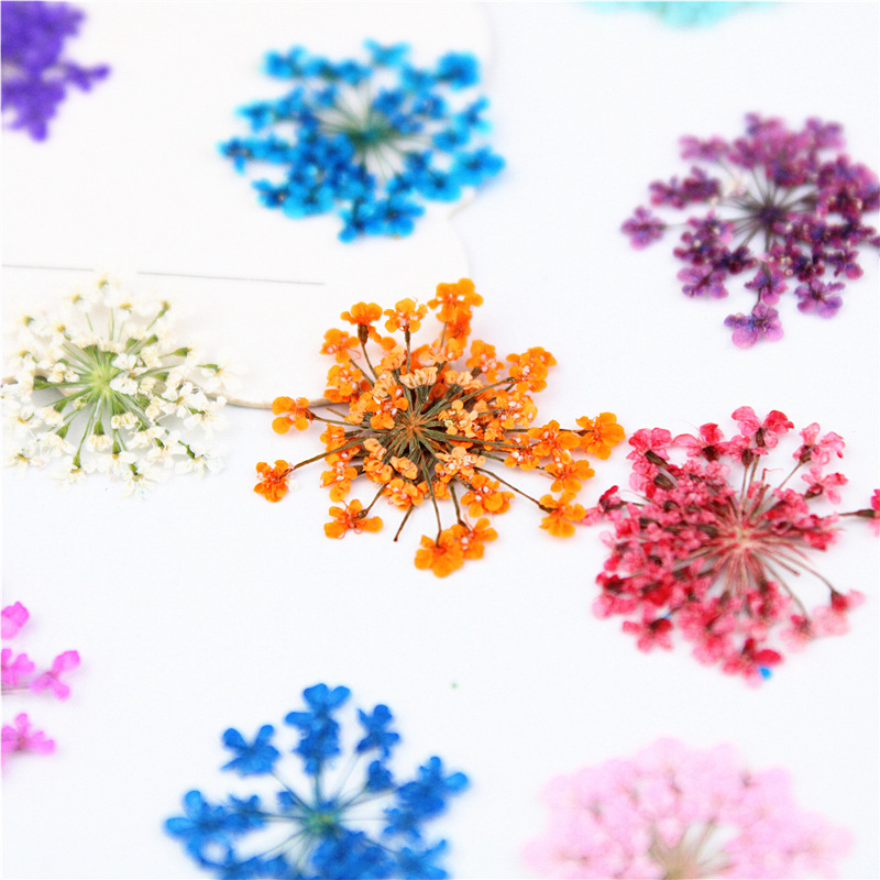 Art Craft 2 Year Olds - 12/24pcs gepresste Blume Schnee glöckchen Spitze