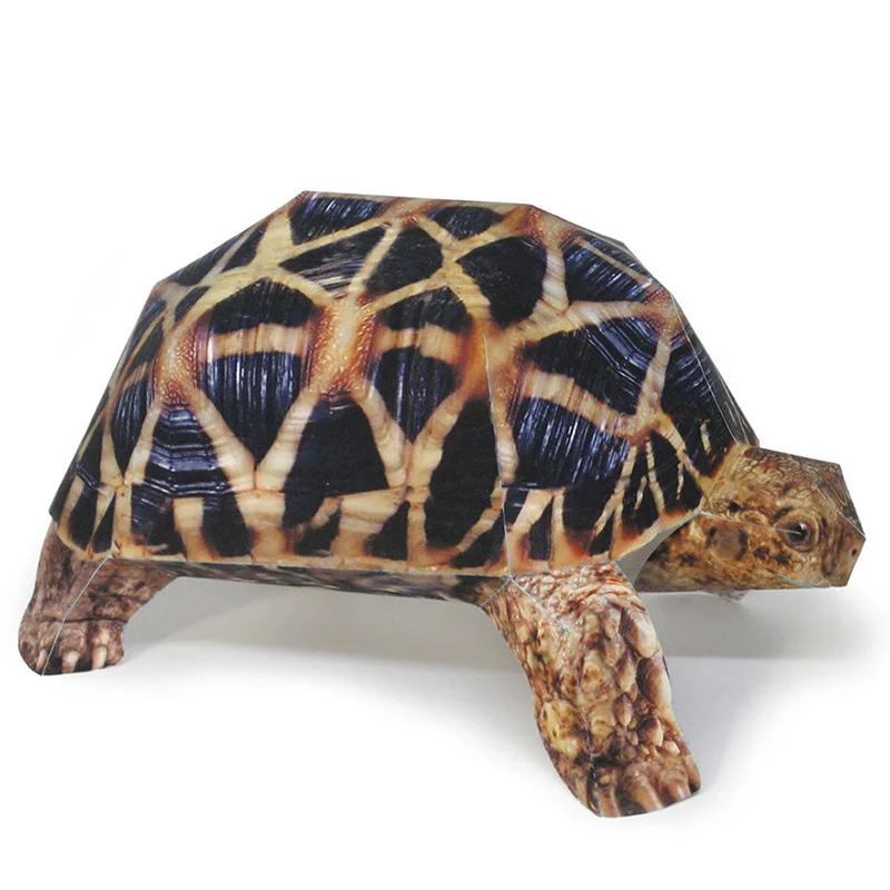 Indische Stern Schildkröte Pap – Art Craft Cardboard Bewertung und Preis