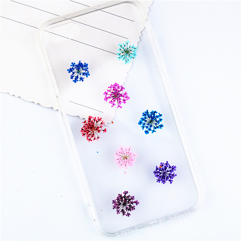 12/24pcs gepresste Blume Schne – Art Craft 2 Year Olds Bewertung und Preis