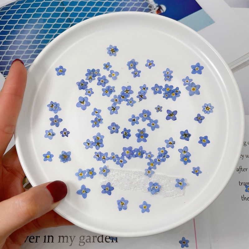 100 stücke/0,5-1cm, Gedrückt m – Art Craft 2 Year Olds Bewertung und Preis